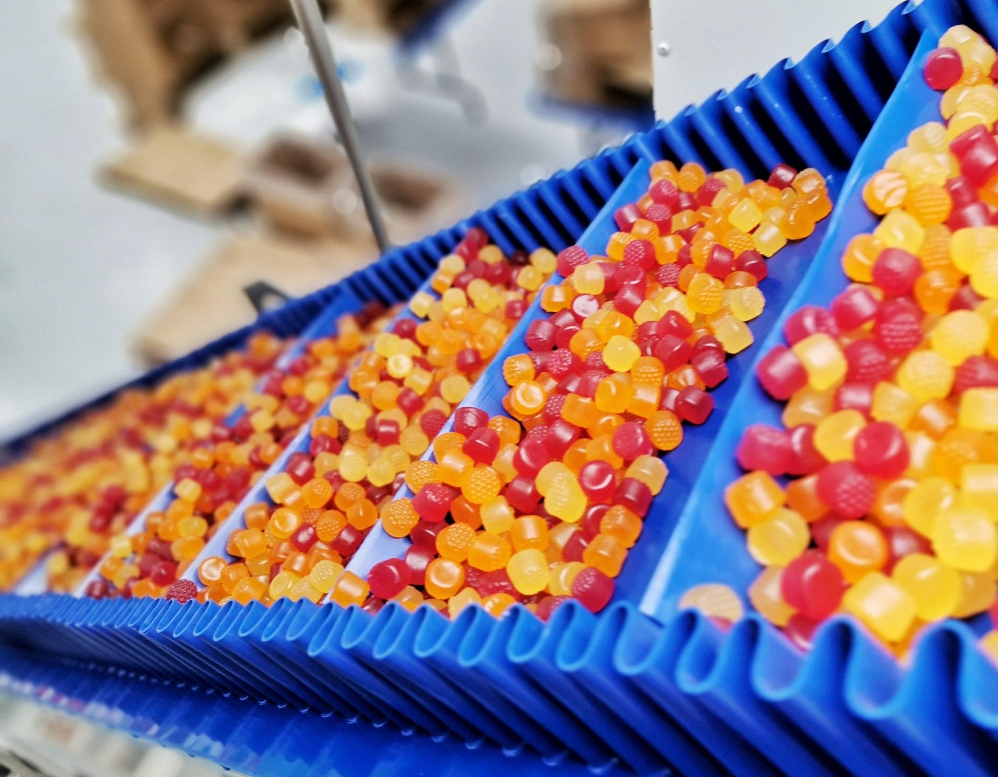 colorful gummies